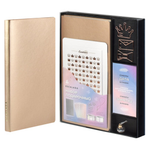 Набор подарочный "ESCALADA", записная книжка А6 , стикеры , фигурн.скрепки, 57716