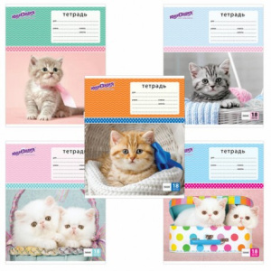 Тетради А5 18л., ЛИНИЯ  цветная обложка, ассорти